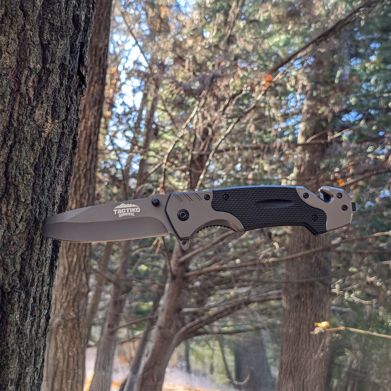 camping and survival knife